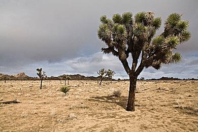 《死亡空间：重制版》有趣彩蛋暗示二代或将重制