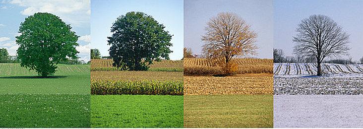 大家来找茬《右脑达人：找错纠察队》12月发售