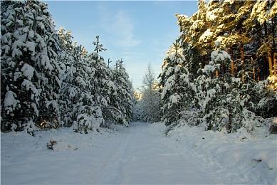 《纪元117：罗马和平》新预告 画面太精美了